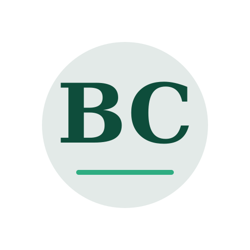 Bennett Chimney Repair logo